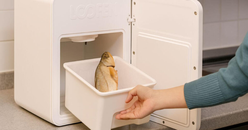 ルーフェン魚の内臓